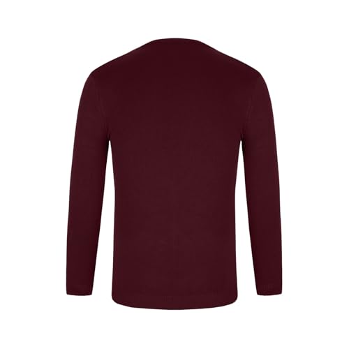 Men's V Neck Sweater Casual Solid Knitted Long Sleeved Pullover Tops Lightweight Slim Fit Classic Dressy Sweater3