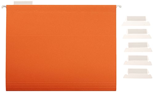 Amazon Basics Hanging Organizer File Folders - Letter Size, Assorted Colors, 25-Pack - Image 6