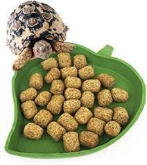 Mazuri mangime per tartarughe terrestri (500 grammi)