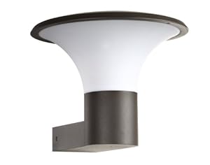 Trio Leuchten Kongo LED Außen-Wandleuchte