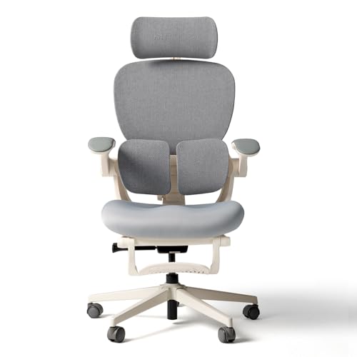 HINOMI Q2 Ergonomic Office Chair with Lumbar Support & Adjustable Headrest Cushion Seat with Flip-Up Arms Reclining Computer Seating with Footrest Stylish Desk Model for Home (Gray)