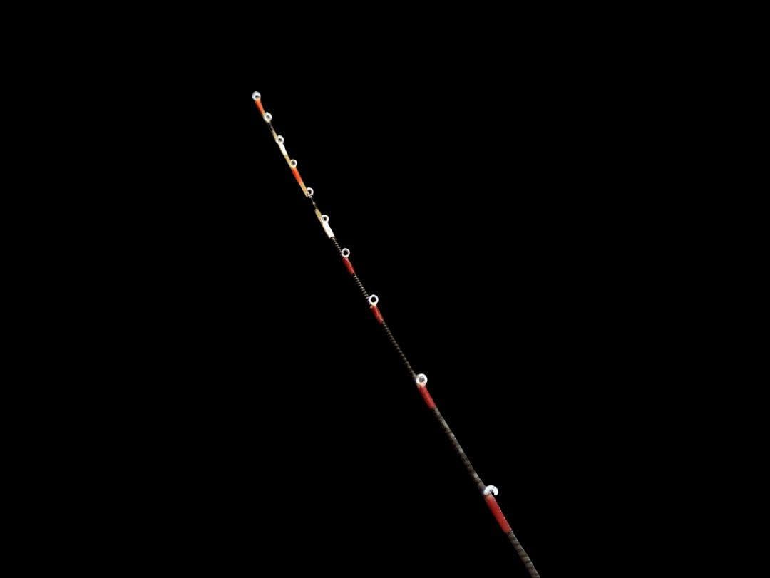 かなり貴重！サクラ　御誂　チヌ竿　布袋竹造り　江戸川作　約3.1m 新品未使用品 かなり貴重！サクラ 御誂 チヌ竿 布袋竹造り 江戸川作 約3.1m 新品未