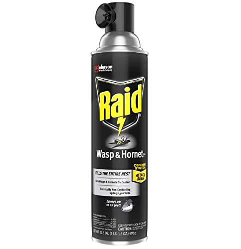 Raid 046500513671 Wasp And Hornet Killer thumb #1