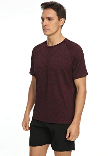 Xelky 4-5 Pack Men's Dry Fit T Shirt Moisture Wicking Athletic Tees Exercise Fitness Activewear Short Sleeves Gym Workout Top