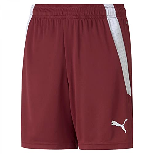 Image of Puma Boys Kids' Teamliga Shorts