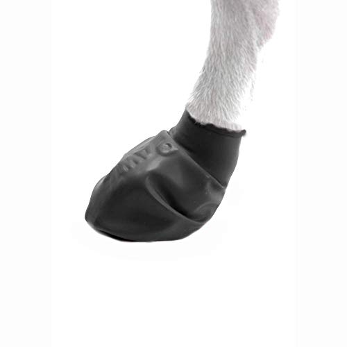 30 Best Dog Boots 2023 Cherry Picks