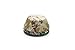 Fox Run Camouflage Bake Cup Set, 3 x 3 x 1.25 inches, Multicolored