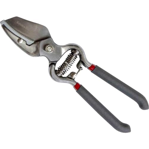 Kent & Stowe Traditional Anvil Secateurs with Carbon Steel Blades