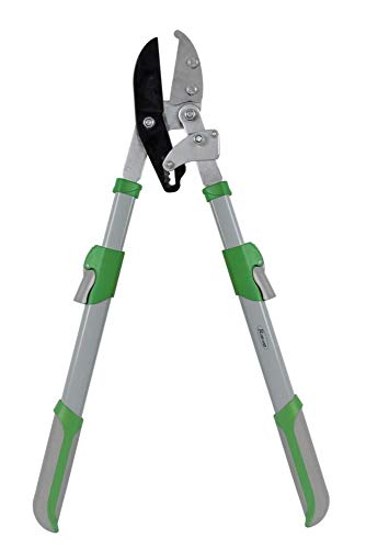 Coupe-branches à enclume démultiplié manche télescopique