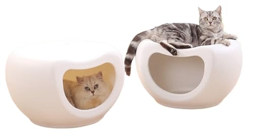 yPtomotozlGʗp ͑ω׏d h[^LxbhEnEX ΍D ʋC 􂦂 ӂӂ v p VvIV CeAybgpi N29