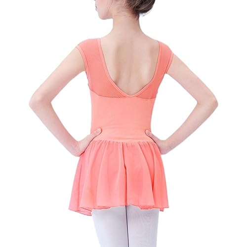 Girl’s Ballet Leotards Toddler Ballet Outfit Dance Activewear Dress Skirted(Toddler/Little Girl/Big Girl)
