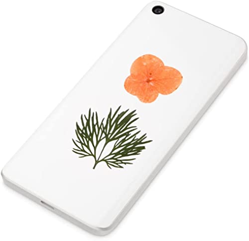 Flores secas naturales Lindagary 40 piezas para manualidades miniatura 3