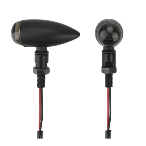 Intermitentes de moto 12V para luces de señal de cruiser y chopper 6