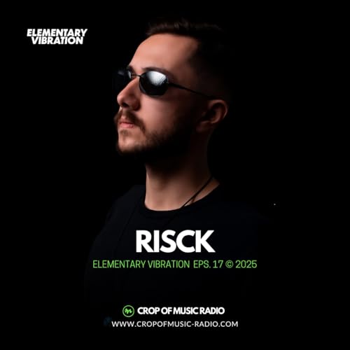 Elementary Vibrations 017 - Risck