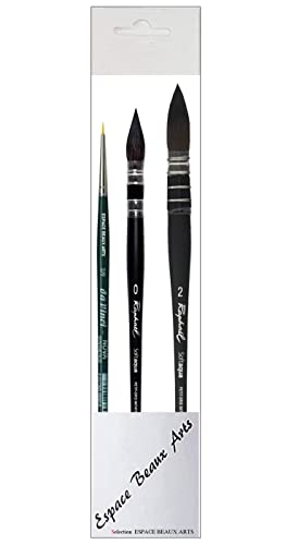 Pinceau Raphael LAVIS SOFTAQUA.SÉRIE 805 Vegans. N°0 .2 Set 2PCS (Raphael France)