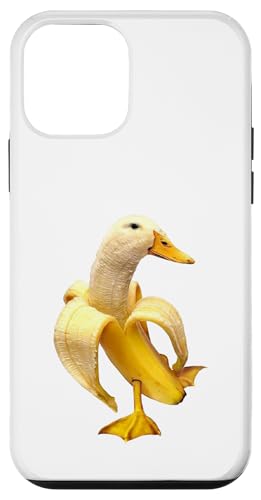 oii_bN X}zP[X iPhone 12 mini p