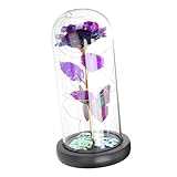 バレンンデー用の 生花 箔付 バラのガラスドーム装飾 日 に 適なイ