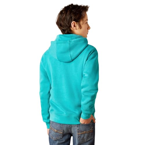 Ariat Boys' In Motion Hoodie2