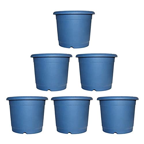 See full amazon price history chart for Synergy Plast Plastic Round Shape Flower Pots 6 Pcs, 10 Inch Heavy Duty Plant Containers/Planter/Gamla/Plant Pot for Gardening, Balcony, Terrace, Home Decor Indoor & Outdoor Planting (Blue) Synergy Plast Plastic Round Shape Flower Pots 6 Pcs, 10 Inch Heavy Duty Plant Containers/Planter/Gamla/Plant Pot for Gardening, Balcony, Terrace, Home Decor Indoor & Outdoor Planting (Blue) (B07MLJMK6Q) Amazon Price History, Amazon Price Tracker
