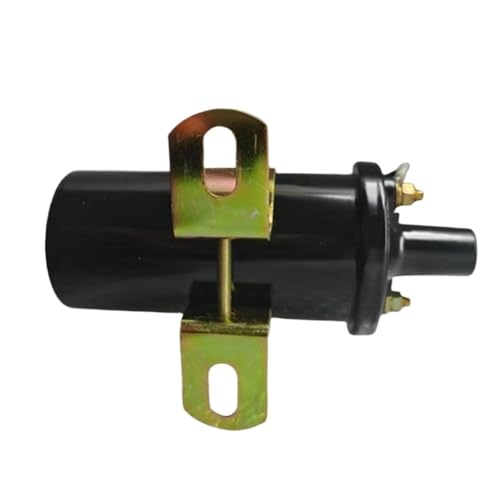 Bobine d'allumage de bateau 392-806529A1 pour moteur 4.3 5.7 - 4