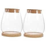 Pots en verre pour plantes : cette micro bouteille paysagère peut apporter un charme chaleureux à n'importe quel salon, , salle de bain, bouteille de mousse