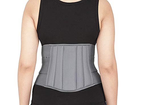 LECTOR Lumbo Sacral Belt Back Brace for Men and Women - Mild Support - Back Support for Lumbar Spine, Pain Solution for Back and Abdomen, Lock, Muscle, Disc Herniation (Universal Size, Grey) (B09V1L12RZ) Amazon Price History, Amazon Price Tracker