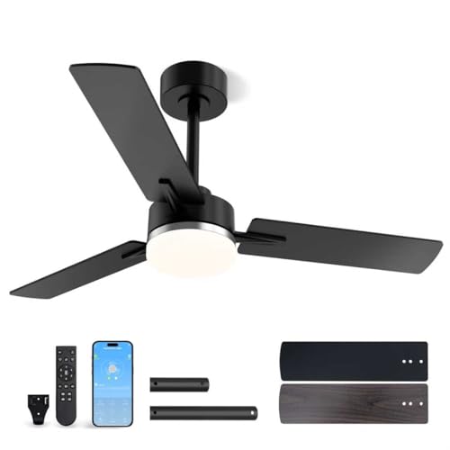 Image of LANMEL Ceiling Fan with Light, Modern Flush Mount Low Profile with Remote Control, Reversible, 3CCT Dimmable, Quiet,LED for Bedroom, Living Room, Indoor /Outdoor Patio Use 42 Inch Silver & Black