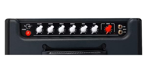 Amazon.co.jp: Laney (レイニー) ギターコンポアンプ 小型オール 