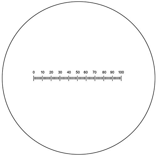 BoliOptics Microscope Eyepiece Reticle Linear Scale Micrometer Ruler Dia. 22mm, 5mm/100 Div. RT20101141