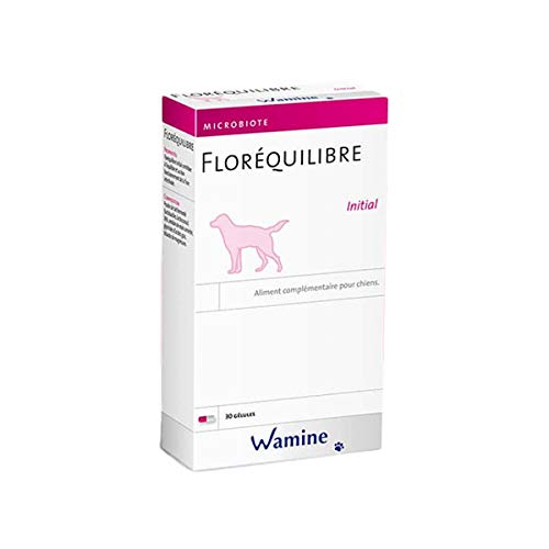 Wamine Floréquilibre Initial