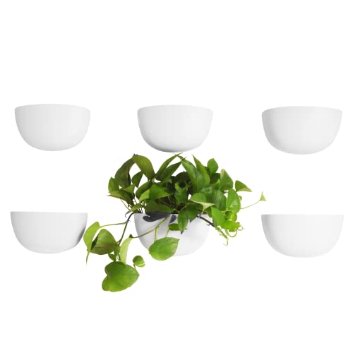 Make Good Virgo Wall Planters (Wide, Set of 6) - Easy to Water and Install - Lightweight - Design Your Own Vertical Garden - Melamine Plastic