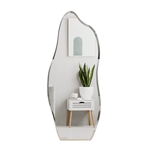 Broojo Irregular Wall Mirror Asymmetrical Accent Wall Mounted Mirror 19.6 X 47 Inch For Living Room Bathroom Entryway, Shaped Dressing Mirror For Wall, Dolphin Type #TOP7