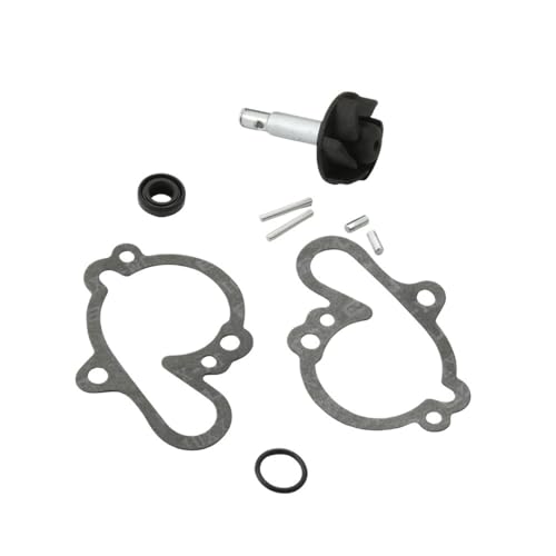 Rénover la pompe à eau AM6 pour rouler au quotidien en RS50 MX50 50cc