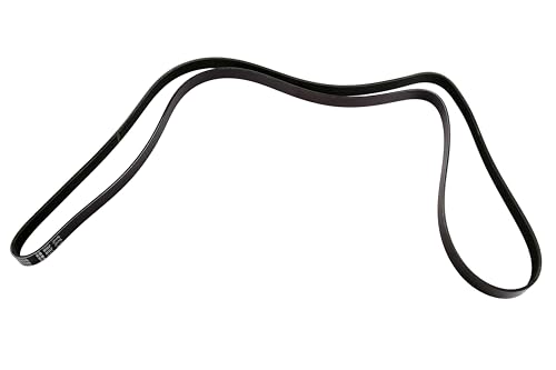 Courroie ACDelco 12576455 pour éliminer les sifflements du moteur