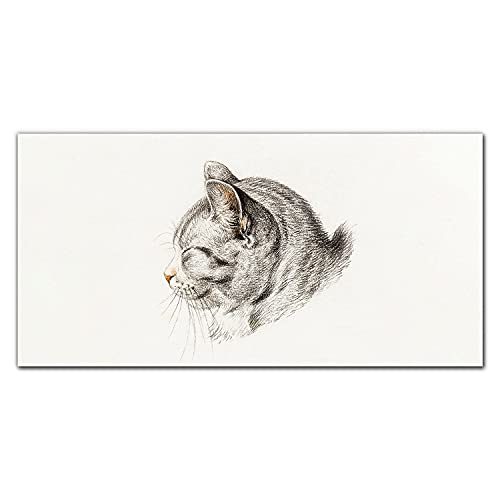 Photo sur verre trempé de luxe chat Coloray 100x50cm