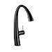 KWC Faucets 10.201.102.106 Zoe Pull Down Kitchen Faucet, Black