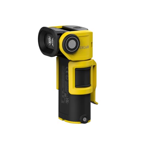 Ledlenser Lámpara LED de mano EXC7R ATEX, con cargador 502407 (batería LED, lámpara de mano con batería, lámpara de trabajo, lámpara de trabajo, lámpara de trabajo ATEX Protección), protección