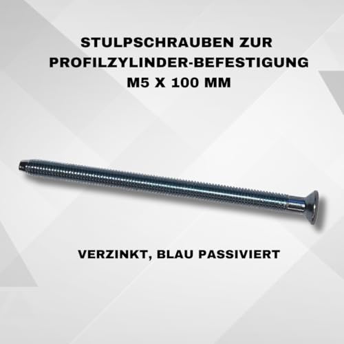 Standard Zuverlässige Zylinderbefestigung: Stulpschraube M5 x 100 mm Zur Zylinder Befestigung, Gewinde mit Spitze, verzinkt