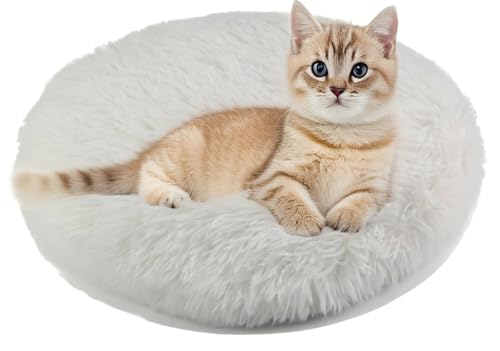 RICHRAIN Katzenkissen Rund,Plüschkissen für Katzen und Hunde, rund, warme Matte, weich und bequem, für Wohnzimmer (weiß, S 37CM)