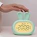 Time Manager, Rabbit Type Visual Timer with Night Light, 99 Minute Kids Time Management Tool, For Homeschool Supplies Study Tool, Timer for Kids Desk, Office Desk Countdown Reminder(Pink)