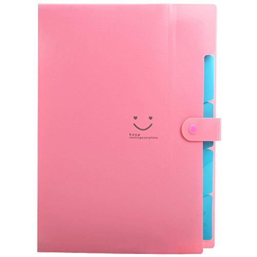 Toexy estensibile, cartella per documenti