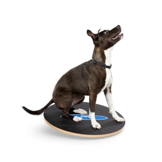 FitPAWS Wobble Board for Dog Training