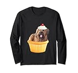 Briard chiot Cupcake Manche Longue