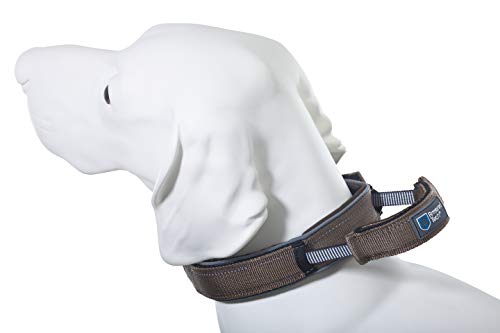 Armored Tech Dog Control Halsband mit integrierter Kurzleine (L - Halsumfang 45-53 cm, Mocca)