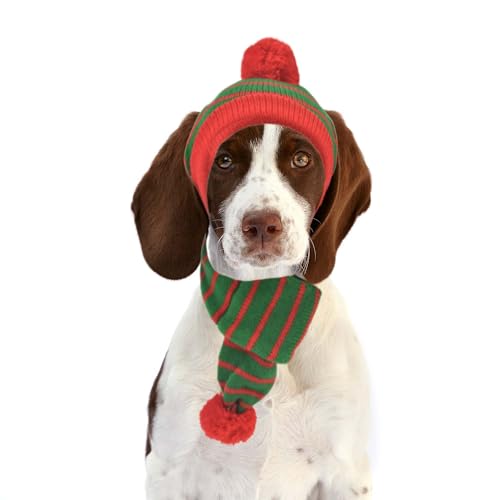 Ensemble bonnet écharpe de Noël chien tricoté anti-froid