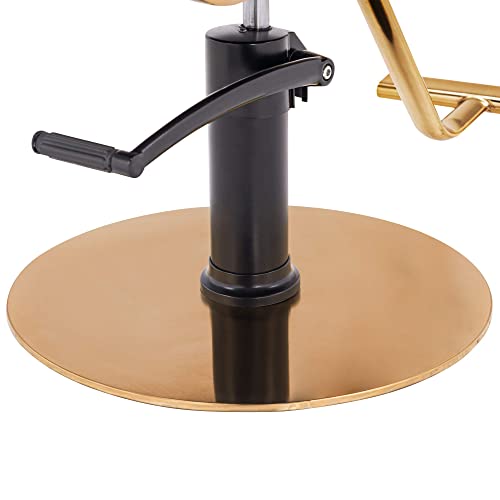 Barberpub Salon Chair Hydraulic Barber Chair Hair Cutting Beauty Spa Salon Styling Equipment 3071 (Brown) #TOP7