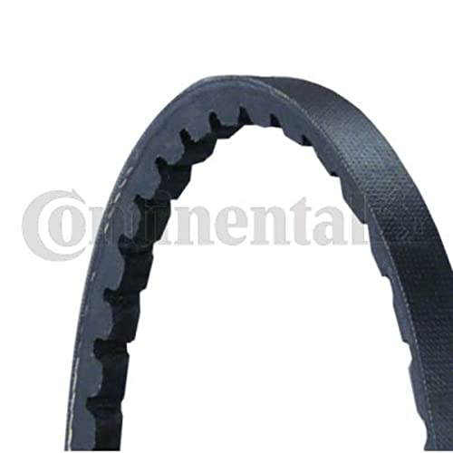 Courroie trapézoïdale AVX10X1600 Continental Contitech crantée pour alternateur auto - 2