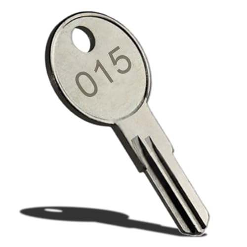 Safe & Fire Box Key Cut to Code 015 that fits Sentry/Replacement Safe Key 015 Compatible with Sentry/Schwab