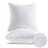 MCWPHLS 22 x 22 Outdoor Pillow Inserts Set of 2 Waterproof Square Support White Decorative Throw Pillow Inserts for Couch Sofa Beds Large Patio Furniture Cushions