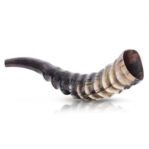 HalleluYAH Blesbok Horn Shofar